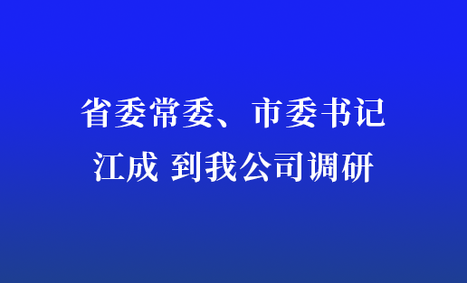 省委常委、市委书记江成到我公司调研